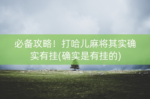 必备攻略！打哈儿麻将其实确实有挂(确实是有挂的)