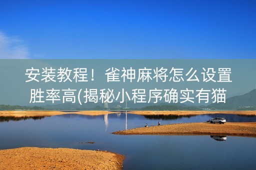 安装教程！雀神麻将怎么设置胜率高(揭秘小程序确实有猫腻)