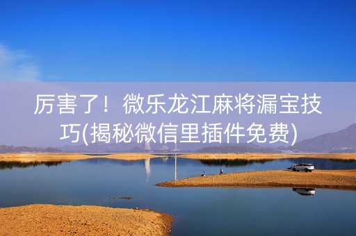 厉害了！微乐龙江麻将漏宝技巧(揭秘微信里插件免费)