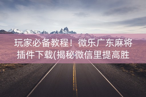 玩家必备教程！微乐广东麻将插件下载(揭秘微信里提高胜率)