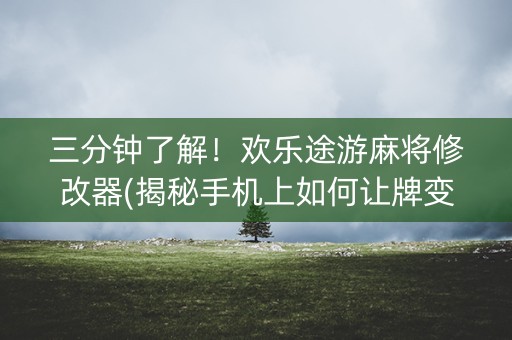 三分钟了解！欢乐途游麻将修改器(揭秘手机上如何让牌变好)