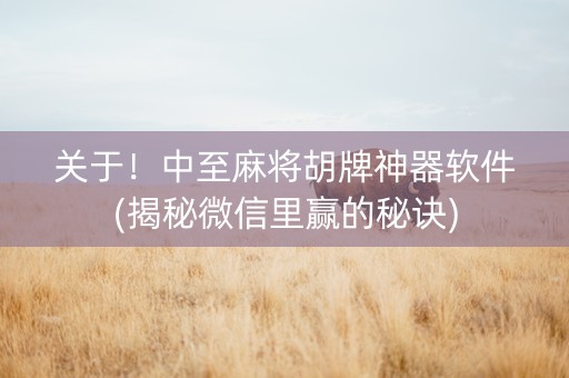 关于！中至麻将胡牌神器软件(揭秘微信里赢的秘诀)