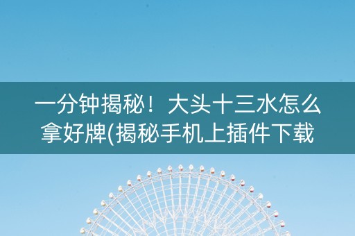 一分钟揭秘！大头十三水怎么拿好牌(揭秘手机上插件下载)