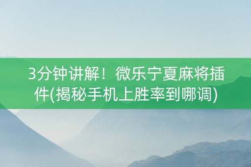 3分钟讲解！微乐宁夏麻将插件(揭秘手机上胜率到哪调)