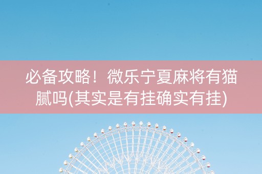 必备攻略！微乐宁夏麻将有猫腻吗(其实是有挂确实有挂)