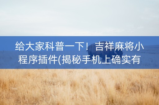 给大家科普一下！吉祥麻将小程序插件(揭秘手机上确实有猫腻)