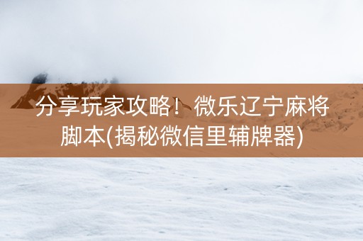 分享玩家攻略！微乐辽宁麻将脚本(揭秘微信里辅牌器)