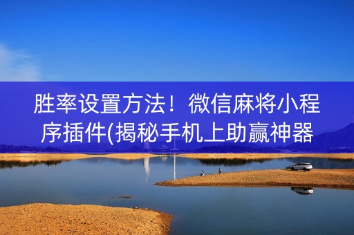 胜率设置方法！微信麻将小程序插件(揭秘手机上助赢神器购买)