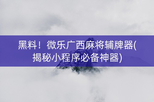 黑料！微乐广西麻将辅牌器(揭秘小程序必备神器)