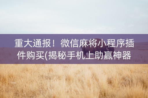重大通报！微信麻将小程序插件购买(揭秘手机上助赢神器)