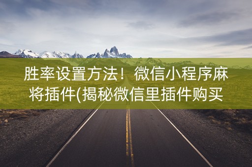 胜率设置方法！微信小程序麻将插件(揭秘微信里插件购买)