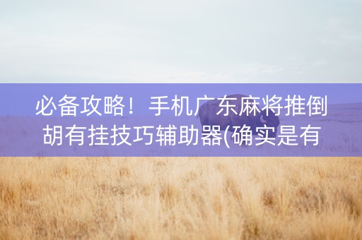 必备攻略！手机广东麻将推倒胡有挂技巧辅助器(确实是有挂)