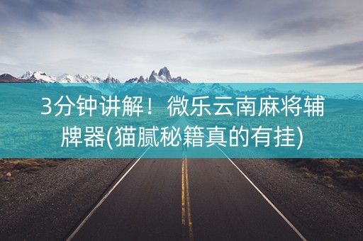 3分钟讲解！微乐云南麻将辅牌器(猫腻秘籍真的有挂)