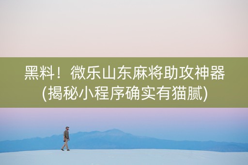 黑料！微乐山东麻将助攻神器(揭秘小程序确实有猫腻)