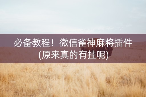 必备教程！微信雀神麻将插件(原来真的有挂呢)
