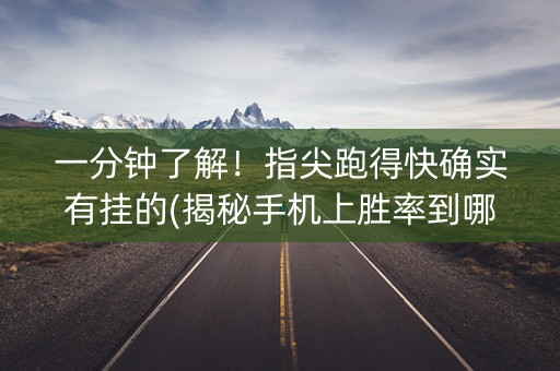 一分钟了解！指尖跑得快确实有挂的(揭秘手机上胜率到哪调)