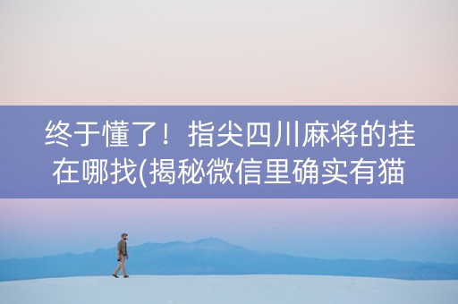 终于懂了！指尖四川麻将的挂在哪找(揭秘微信里确实有猫腻)
