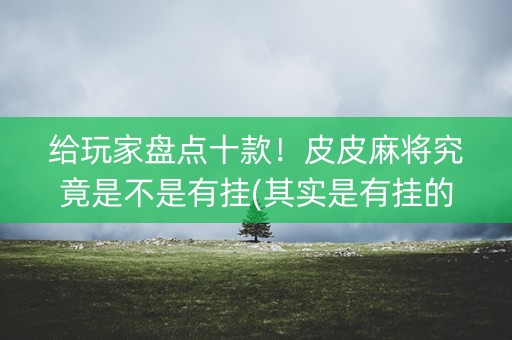 给玩家盘点十款！皮皮麻将究竟是不是有挂(其实是有挂的)