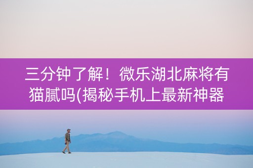 三分钟了解！微乐湖北麻将有猫腻吗(揭秘手机上最新神器下载)