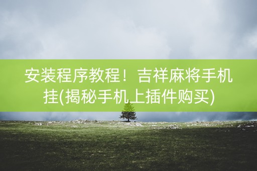 安装程序教程！吉祥麻将手机挂(揭秘手机上插件购买)