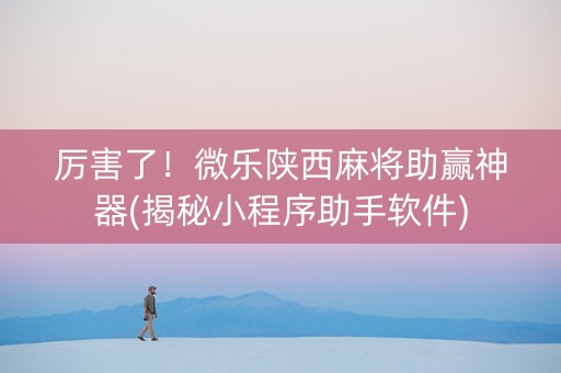 厉害了！微乐陕西麻将助赢神器(揭秘小程序助手软件)