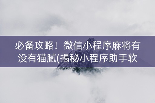 必备攻略！微信小程序麻将有没有猫腻(揭秘小程序助手软件)