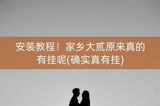 安装教程！家乡大贰原来真的有挂呢(确实真有挂)