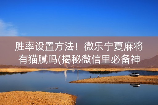 胜率设置方法！微乐宁夏麻将有猫腻吗(揭秘微信里必备神器)