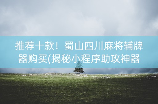 推荐十款！蜀山四川麻将辅牌器购买(揭秘小程序助攻神器)