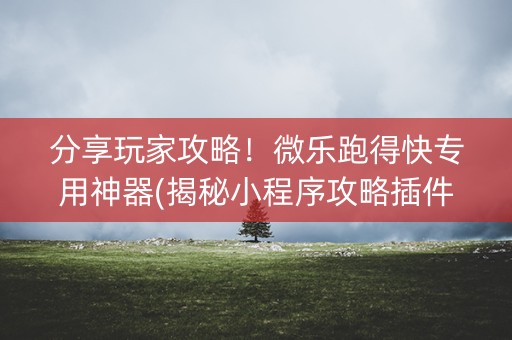 分享玩家攻略！微乐跑得快专用神器(揭秘小程序攻略插件)