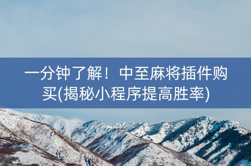 一分钟了解！中至麻将插件购买(揭秘小程序提高胜率)