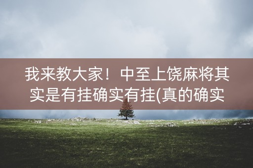 我来教大家！中至上饶麻将其实是有挂确实有挂(真的确实是有挂)