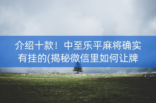 介绍十款！中至乐平麻将确实有挂的(揭秘微信里如何让牌变好)