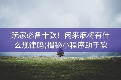 玩家必备十款！闲来麻将有什么规律吗(揭秘小程序助手软件)
