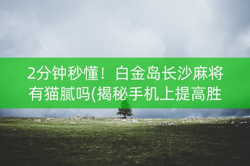2分钟秒懂！白金岛长沙麻将有猫腻吗(揭秘手机上提高胜率)