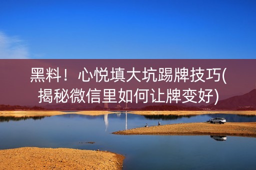 黑料！心悦填大坑踢牌技巧(揭秘微信里如何让牌变好)