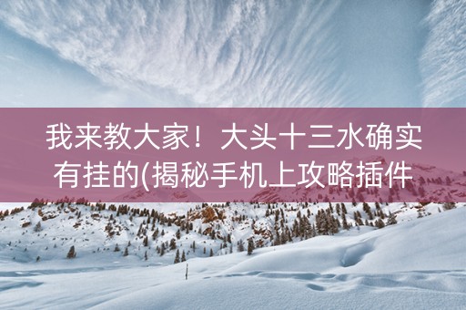 我来教大家！大头十三水确实有挂的(揭秘手机上攻略插件)