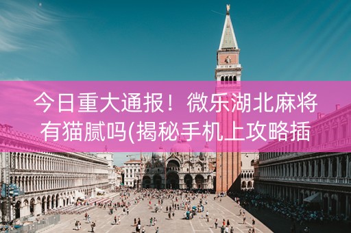 今日重大通报！微乐湖北麻将有猫腻吗(揭秘手机上攻略插件)