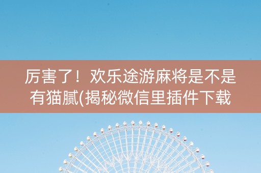 厉害了！欢乐途游麻将是不是有猫腻(揭秘微信里插件下载)