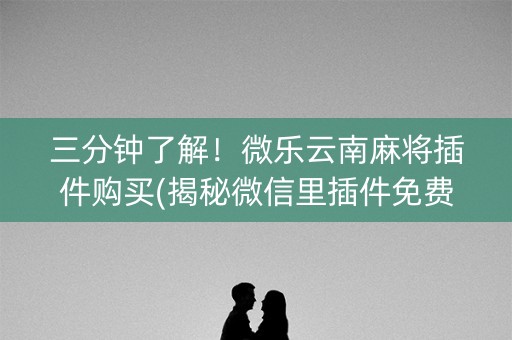 三分钟了解！微乐云南麻将插件购买(揭秘微信里插件免费)
