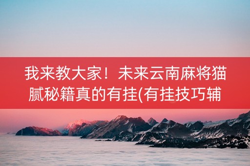 我来教大家！未来云南麻将猫腻秘籍真的有挂(有挂技巧辅助器)