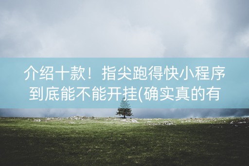 介绍十款！指尖跑得快小程序到底能不能开挂(确实真的有挂)