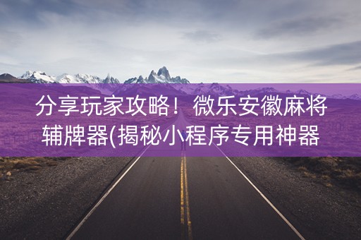 分享玩家攻略！微乐安徽麻将辅牌器(揭秘小程序专用神器)