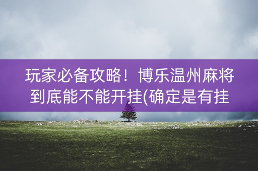玩家必备攻略！博乐温州麻将到底能不能开挂(确定是有挂)