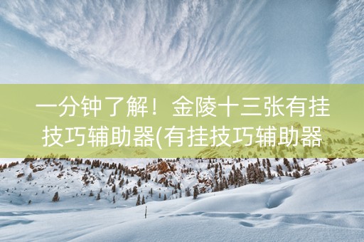 一分钟了解！金陵十三张有挂技巧辅助器(有挂技巧辅助器)