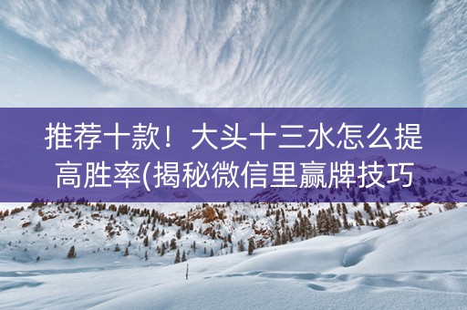 推荐十款！大头十三水怎么提高胜率(揭秘微信里赢牌技巧)