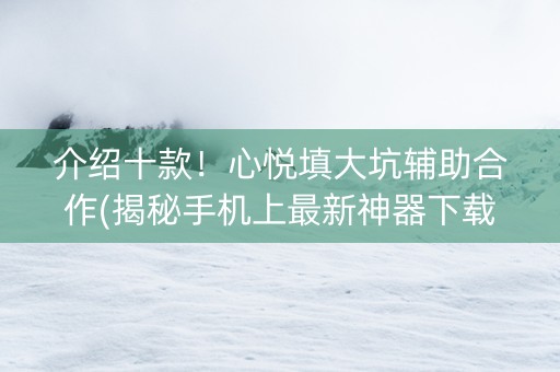 介绍十款！心悦填大坑辅助合作(揭秘手机上最新神器下载)