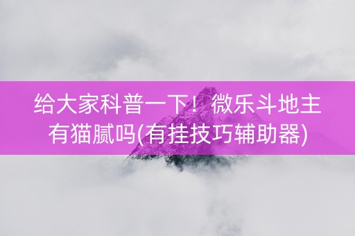 给大家科普一下！微乐斗地主有猫腻吗(有挂技巧辅助器)