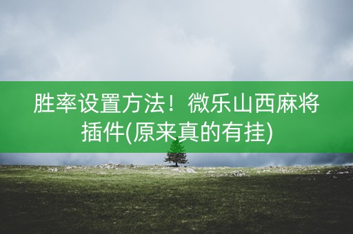 胜率设置方法！微乐山西麻将插件(原来真的有挂)