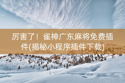 厉害了！雀神广东麻将免费插件(揭秘小程序插件下载)